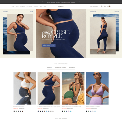 Real Stores Transformed by ThemeTidy - Shopify Plus Agency's Expertise