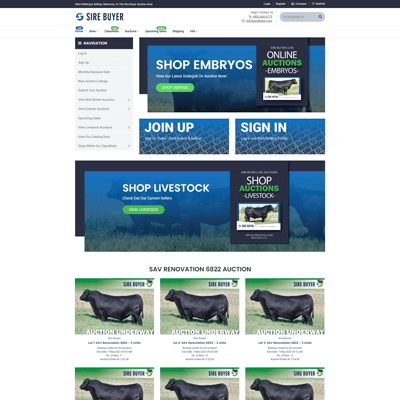 Real Stores Transformed by ThemeTidy - Shopify Plus Agency's Expertise